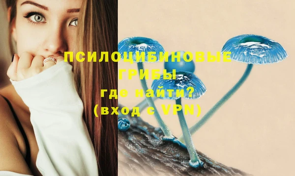 ALPHA-PVP Арсеньев