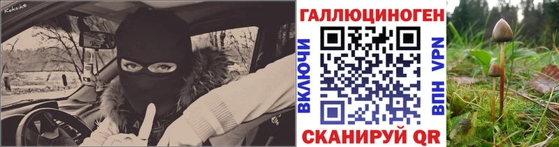 купить   Сусуман  MEGA ССЫЛКА  Псилоцибиновые грибы Psilocybine cubensis 